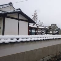 珍しく雪景色で向かえた岡山・倉敷の月曜の朝