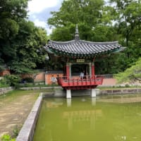 宮水ウオーク、初夏の花博記念公園