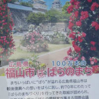 １００万本のバラの街・福山市・・・来年は世界バラ会議が開催されます　薔薇でまち起こしに取り組む福山市