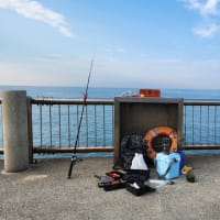 釣りに出かける。