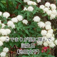 2025.4.23(水)    こでまり