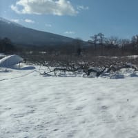 2025/02/28豪雪!!りんご園に埋もれた軽トラ掘り出し💦