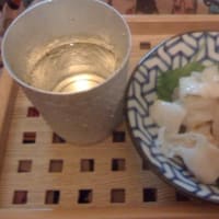 梅画像