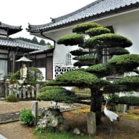 浄土寺-(3) (小野)