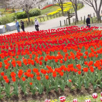 馬見丘陵公園へ。