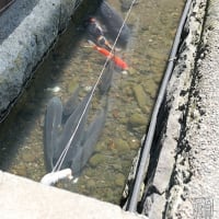 肥前浜宿・酒蔵通りをぶ〜らぶら〜