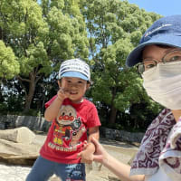 総合公園