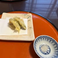 和食庵 さら 2025/05/29