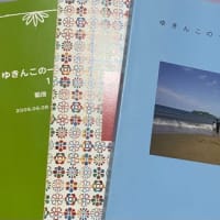 書籍化すべく