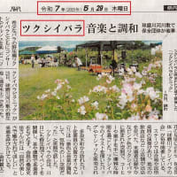 球磨川河川敷のツクシイバラ、音楽と調和