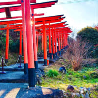 初詣　　稲荷神社へ