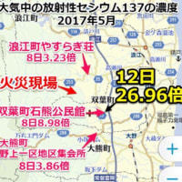浪江町の山林火災後の放射線量がひどい
