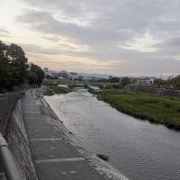 カエルとカラスの大合唱