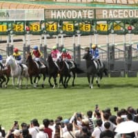 函館競馬・２歳新馬戦で “白毛馬” 快勝．．．