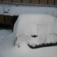 雪に埋もれていく私　シャイニング