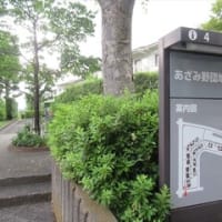 6/12-13　クリーニング　　定例役員会