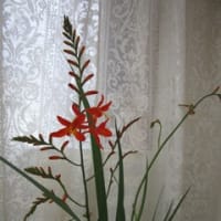 天神ぶらり