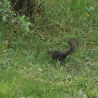 前田森林公園へ