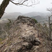 鎌倉山登山