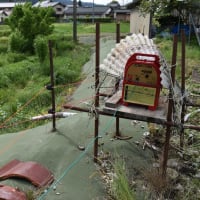獣 除けの電柵張り