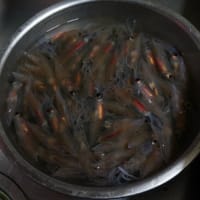 今年の初物！！