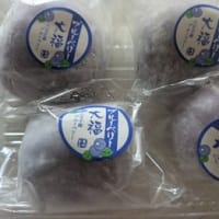 ブルーベリー大福