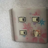 スイッチプレートの交換　完了