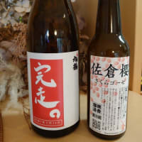 還暦記念！佐倉マラソンと千葉観光！