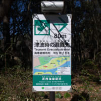 ２月の葛西臨海公園：蓮池・芝生広場脇を通り抜けて大観覧車前の散策道へ　ＰＡＲＴ２