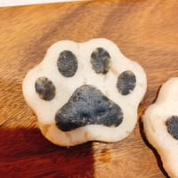あずき専用手作りご飯