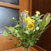 定期便　来たよ！　6月のお花は　元気いっぱい　ひまわり desu ☆彡