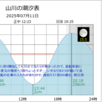 鯵釣り