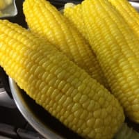 ☆星空自慢の宿☆帯広八千代へようこそ