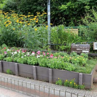 中延公園（品川区）