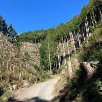 ポンポン山＝超久々の「川久保渓谷」　久々、腰、やってもうた。💦　2024-10-13