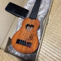 ミニギターの旅 S.yairi YM-17VS - あおいほしのミュージックライフ