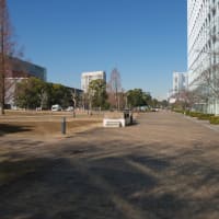 １月のお台場：ウエストプロムナード散策道とテレコムセンター駅周辺　ＰＡＲＴ２