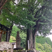 大和町の諏訪神社6月25日