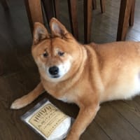 魔法の粉？