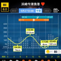 今年最初のウナギ釣り