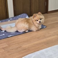 えっ？！戻ってきたばかりなのに