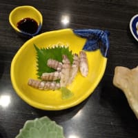 はづき /  新小岩 のお寿司屋さん