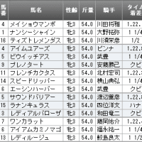 【過去傾向】中日新聞杯・中山牝馬S・Ｆレビュー（2014年）