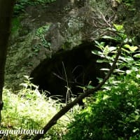 了源上人創建の「龍頭山善福寺」の墓穴群