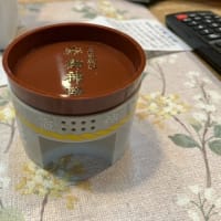 大会後の観光は