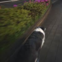 いろいろ思う。。。