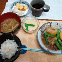 男の作る朝食 No2457 肉じゃが