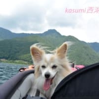 みいちゃん　空斗　海斗　とのお別れ