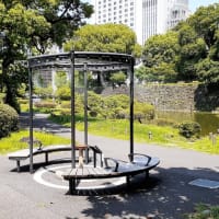 日比谷公園に売店が在る風景