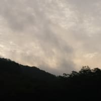 今朝の空模様。